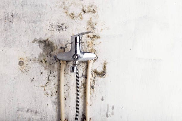 Best Residential Mold Removal  in Hideaway, TX